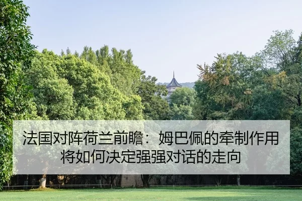 fa-guo-dui-zhen-he-lan-qian-zhan-mu-ba-pei-de-qian-zhi-zuo-yong-jiang-ru-he-jue-ding-qiang-qiang-dui-hua-de-zou-xiang-2-691.jpg