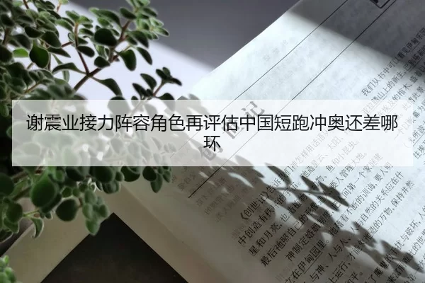 谢震业接力阵容角色再评估中国短跑冲奥还差哪环
