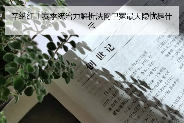 xin-na-hong-tu-sai-ji-tong-zhi-li-jie-xi-fa-wang-wei-mian-zui-da-yin-you-shi-shen-me-2-268.jpg