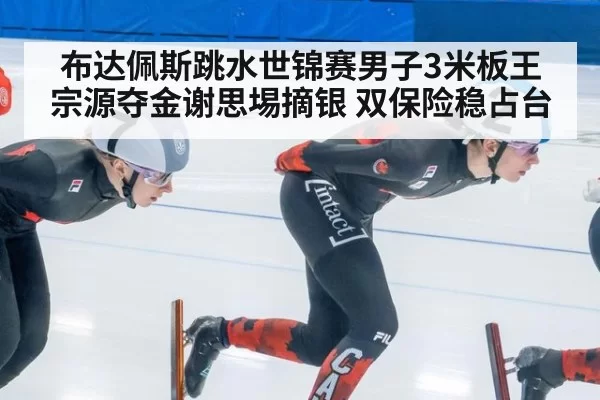 布达佩斯跳水世锦赛男子3米板王宗源夺金谢思埸摘银 双保险稳占台