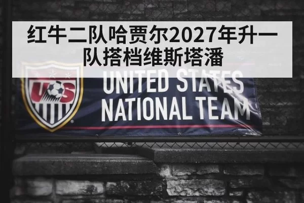 红牛二队哈贾尔2027年升一队搭档维斯塔潘