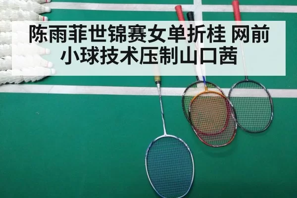 陈雨菲世锦赛女单折桂 网前小球技术压制山口茜