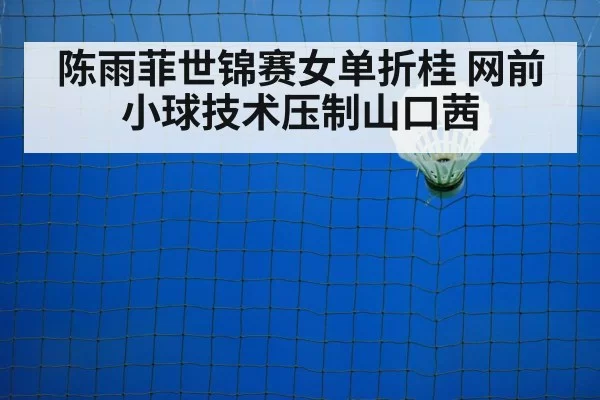 badminton net shot